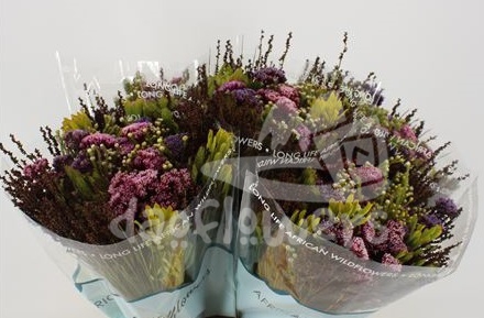 bq autumn pink