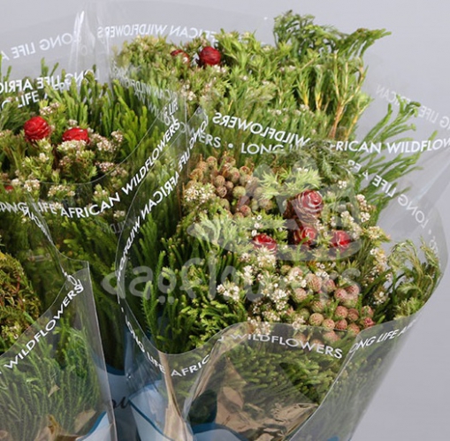 bq green mix