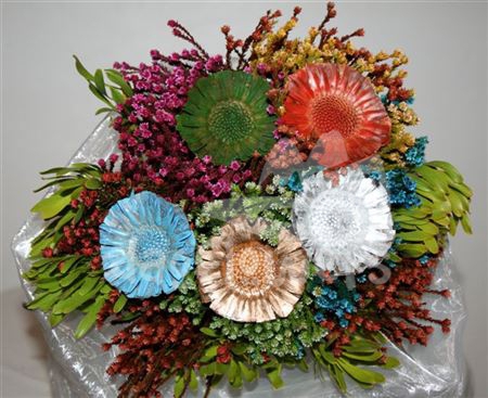 bq rainbow mix