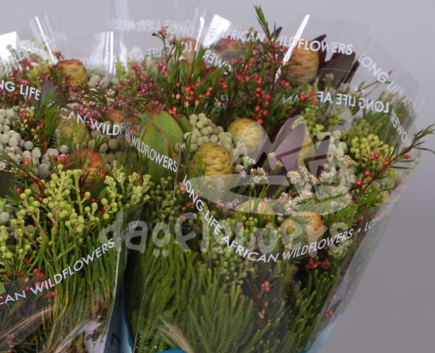 bq cone mix jumbo