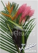 bq 2 ginger pink