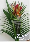 bq 3 mia