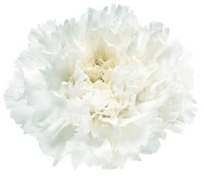 Madame Colette