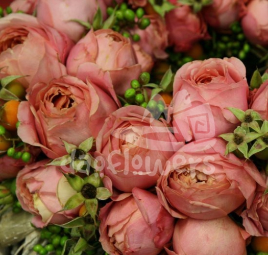 romantic antike